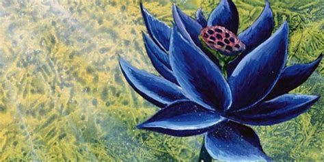 Magic 30th blavk lotus